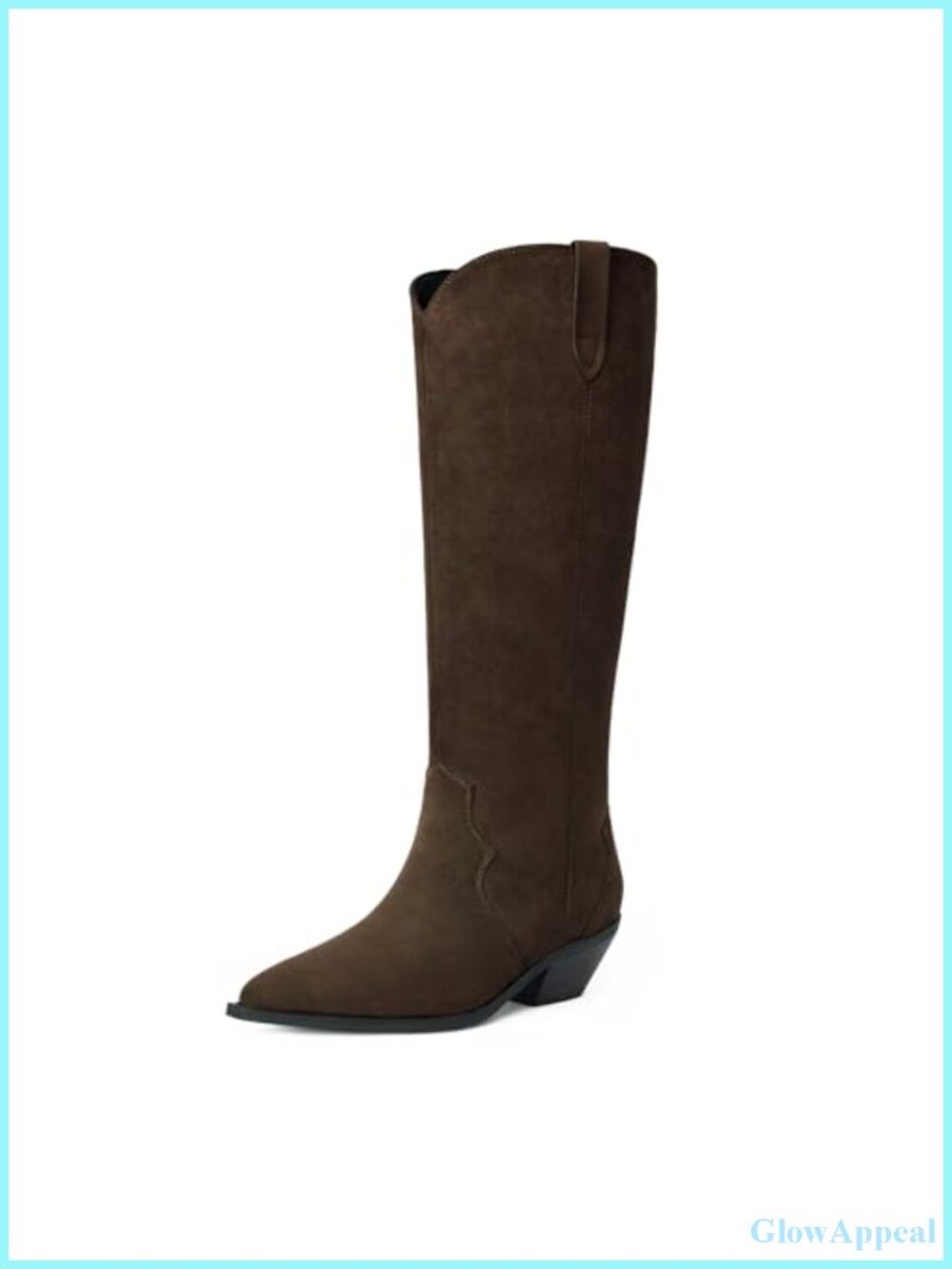 Women's Knee High Pointed Toe Boots 2 Inch Chunky Heel Pull-On Western Riding